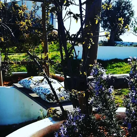 Monte Do Malhao - Art, Eco &