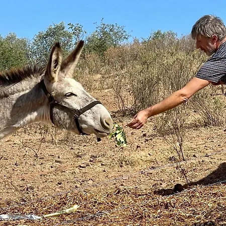 Monte Do Malhao - Art, Eco & Hotel Castro Marim