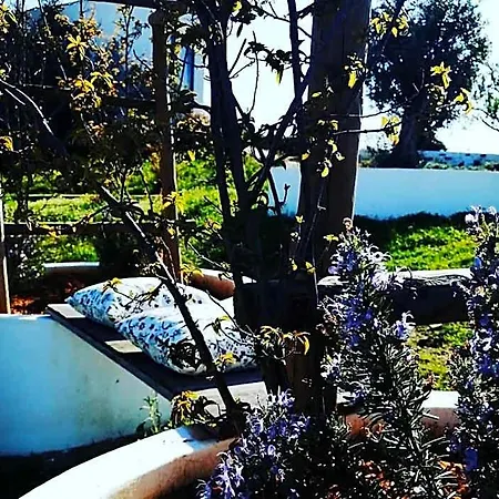 Hotel Monte Do Malhao - Art, Eco &