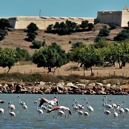 Monte Do Malhao - Art, Eco & Hotel 3*