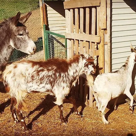 ホテル Monte Do Malhao - Art, Eco & カストロ・マリン